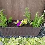 Apartment Dora And Tonka Krk