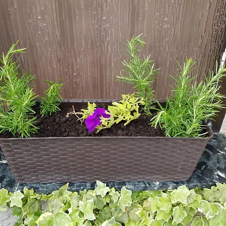 Apartmán Dora And Tonka Krk