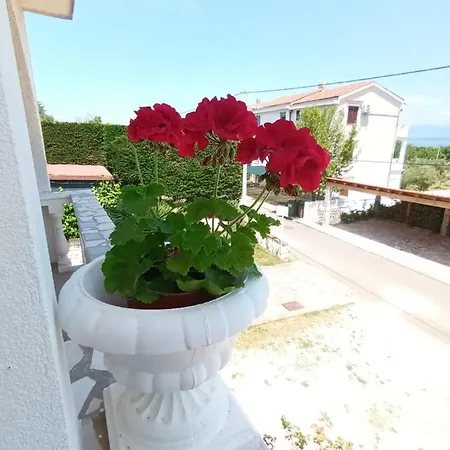 Dora And Tonka Krk Apartment Porat (Krk)